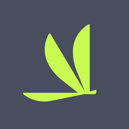 an image of SOAR logo